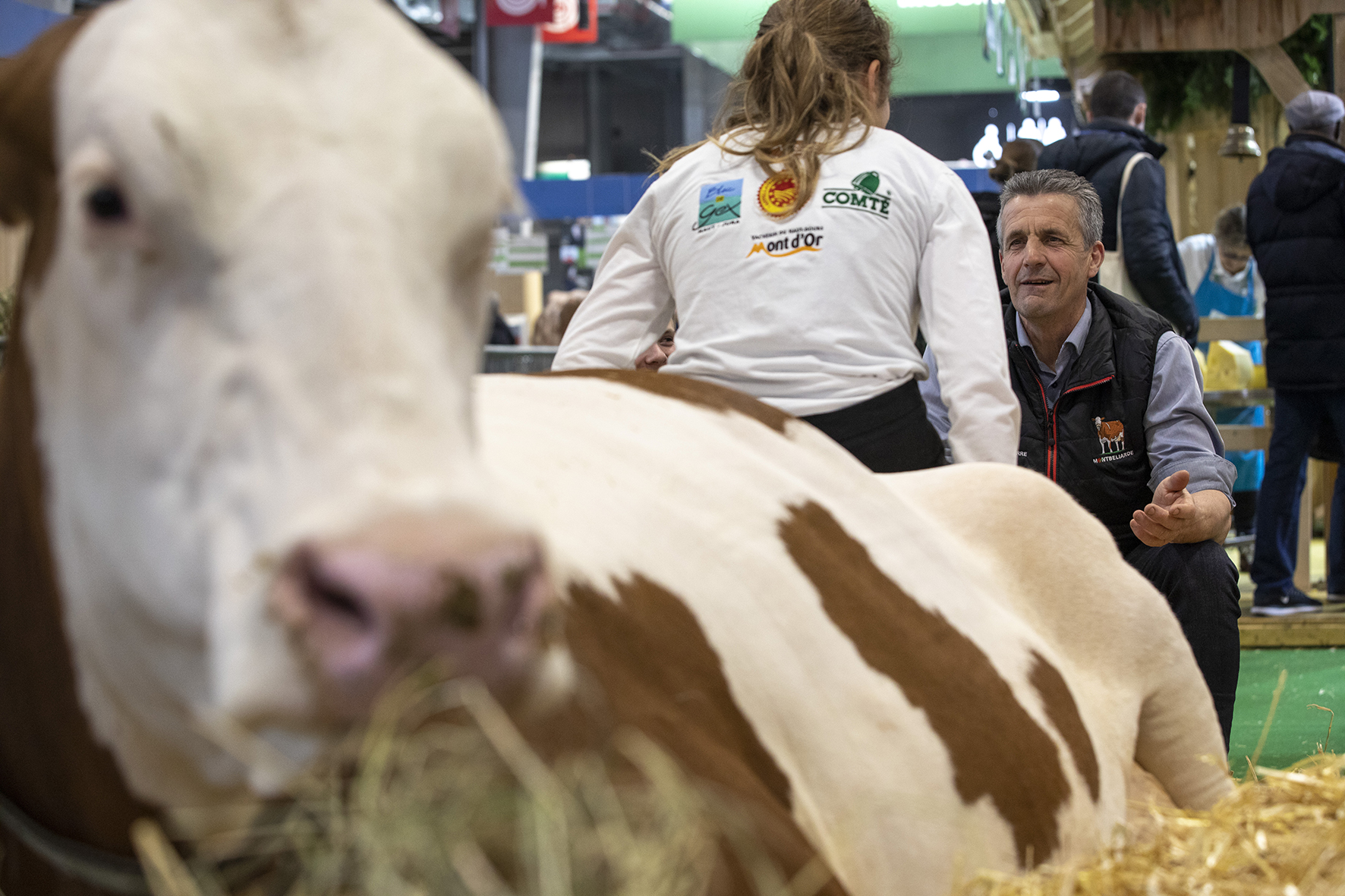 Salon de l'agriculture 2020 - Photo © David Cesbron