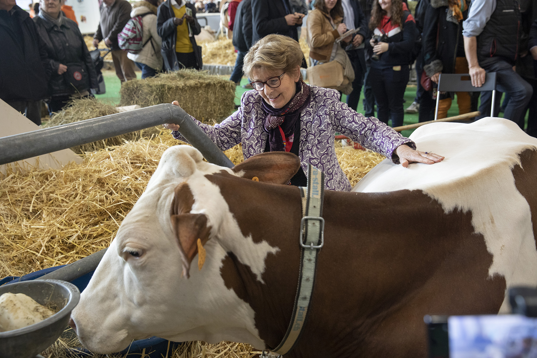 Salon de l'agriculture 2020 - Photo © David Cesbron