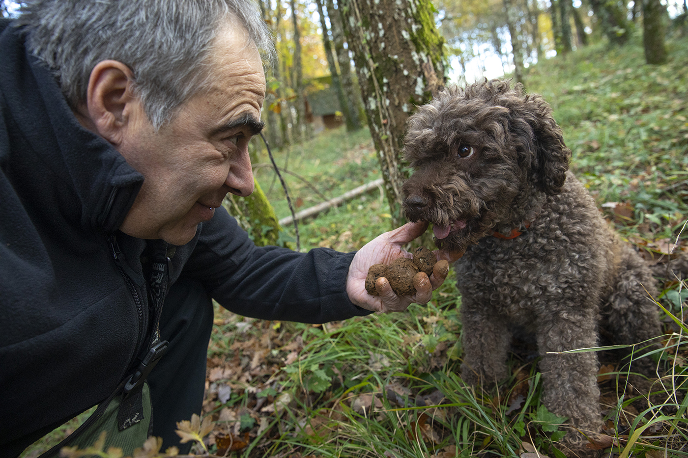 La Maison aux mille truffes à Marey-lès-Fussey (21)  - Crédit photo Région Bourgogne-Franche-Comté / David Cesbron