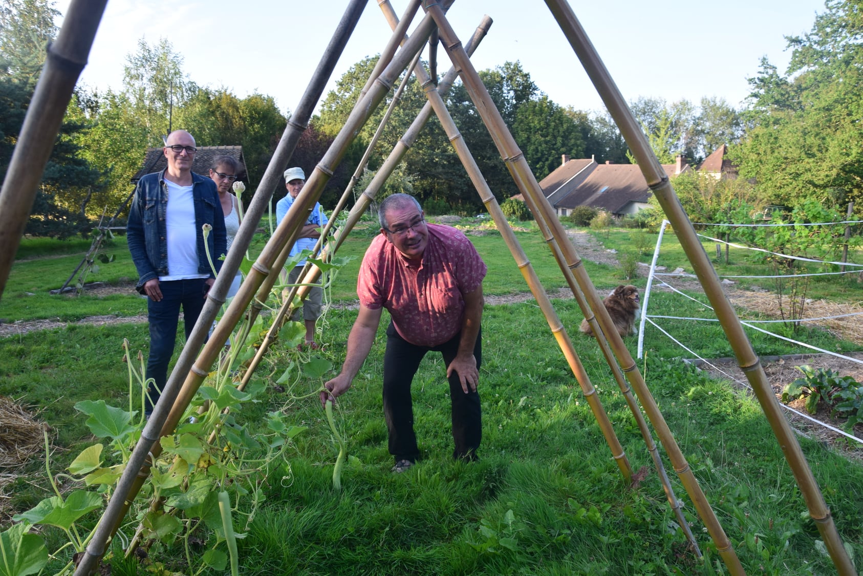 La Ferme des Crusoé à Huilly, en Saône-et-Loire, a accueilli un apéro POTEs et des formations en permaculture. © Photo DR La Ferme des Crusoé à Huilly, en Saône-et-Loire, a accueilli un apéro POTEs et des formations en permaculture. © Photo DR