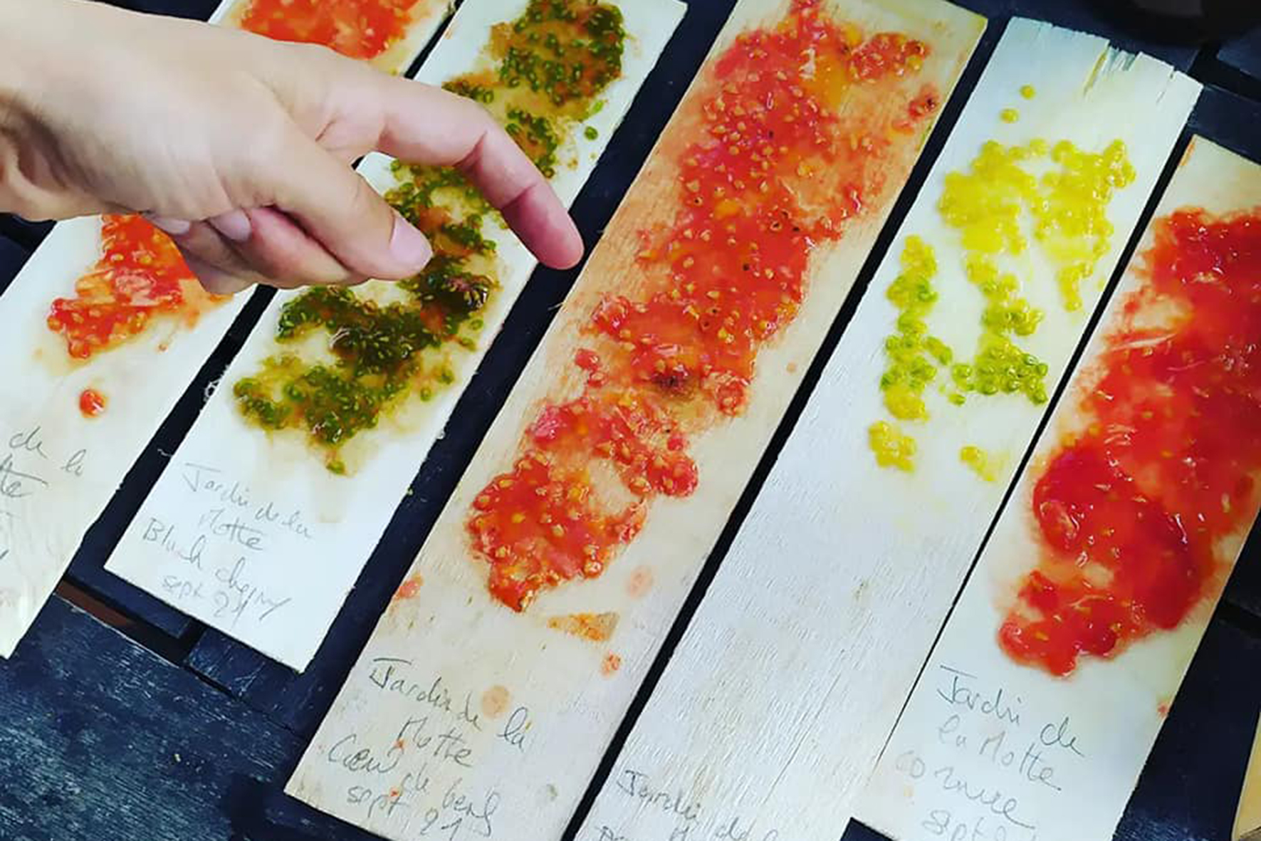 Portes ouvertes et atelier « graines de tomates » à la micro-ferme maraîchère « La graine fait son chemin » à Saint-Romain-sous-Gourdon, en Saône-et-Loire. © Photo DR Portes ouvertes et atelier « graines de tomates » à la micro-ferme maraîchère « La graine fait son chemin » à Saint-Romain-sous-Gourdon, en Saône-et-Loire. © Photo DR