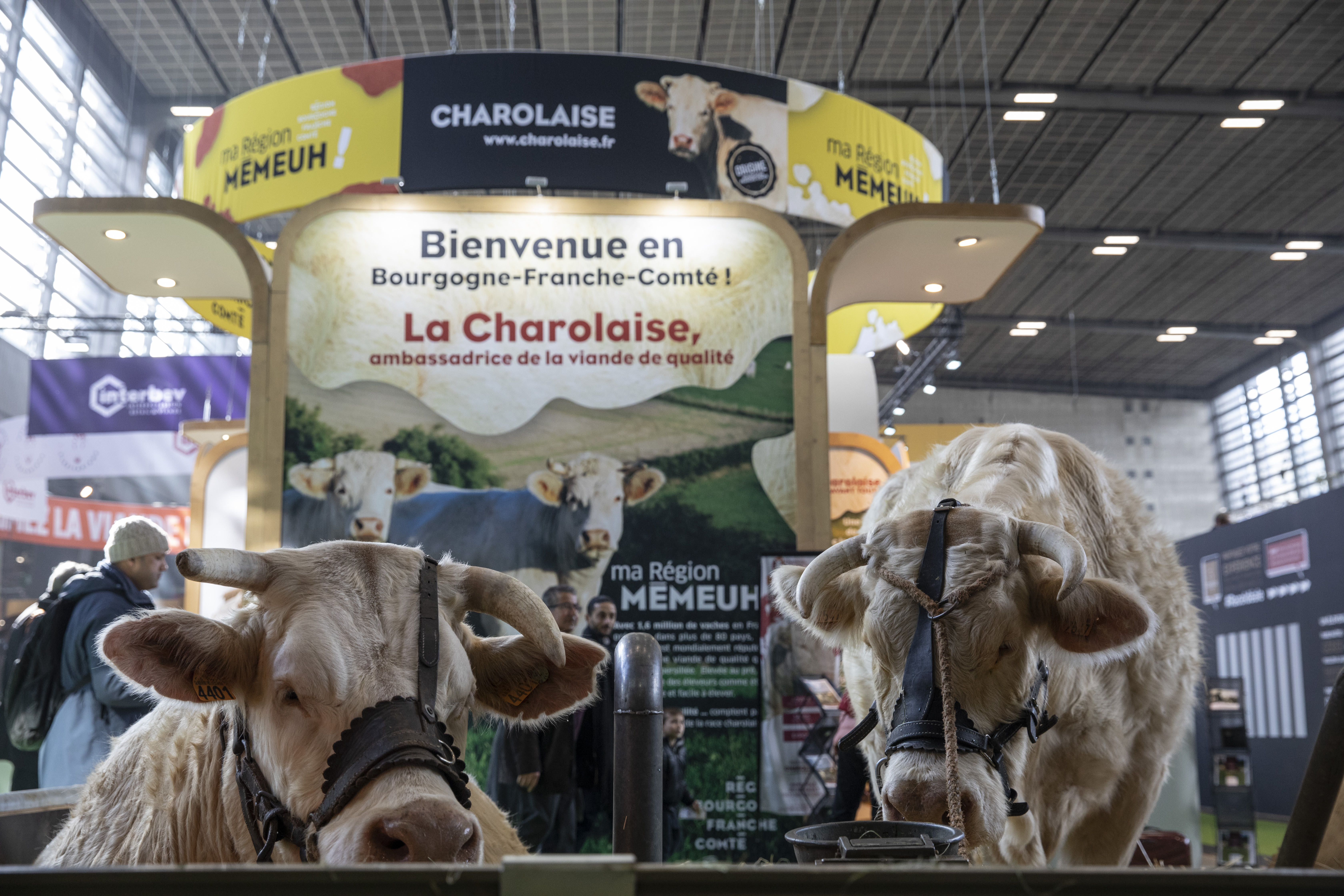 Salon de l'agriculture