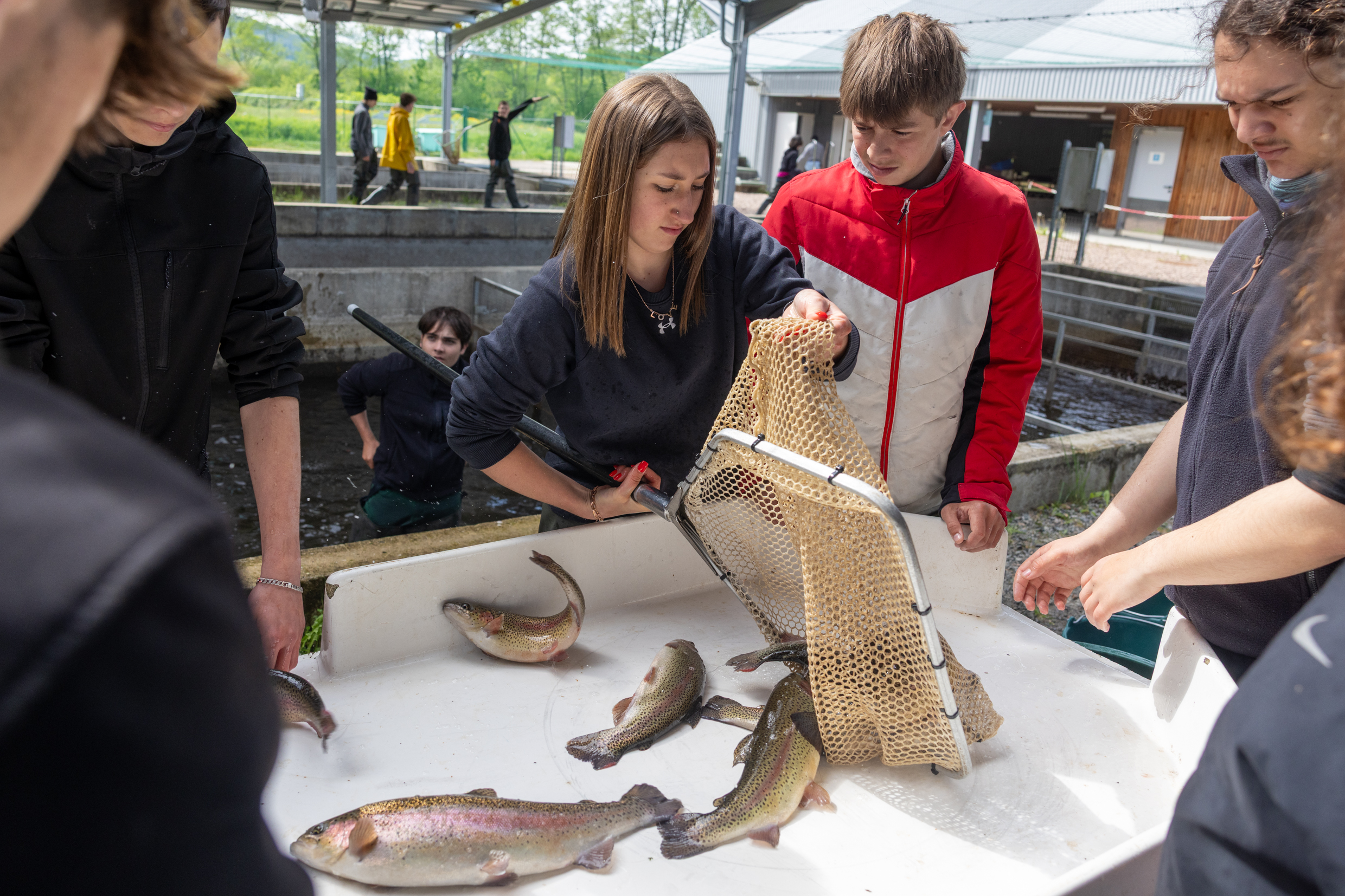 Elèves de seconde au lycée agricole du Morvan, à Château-Chinon (58) - Photo Xavier Ducordeaux