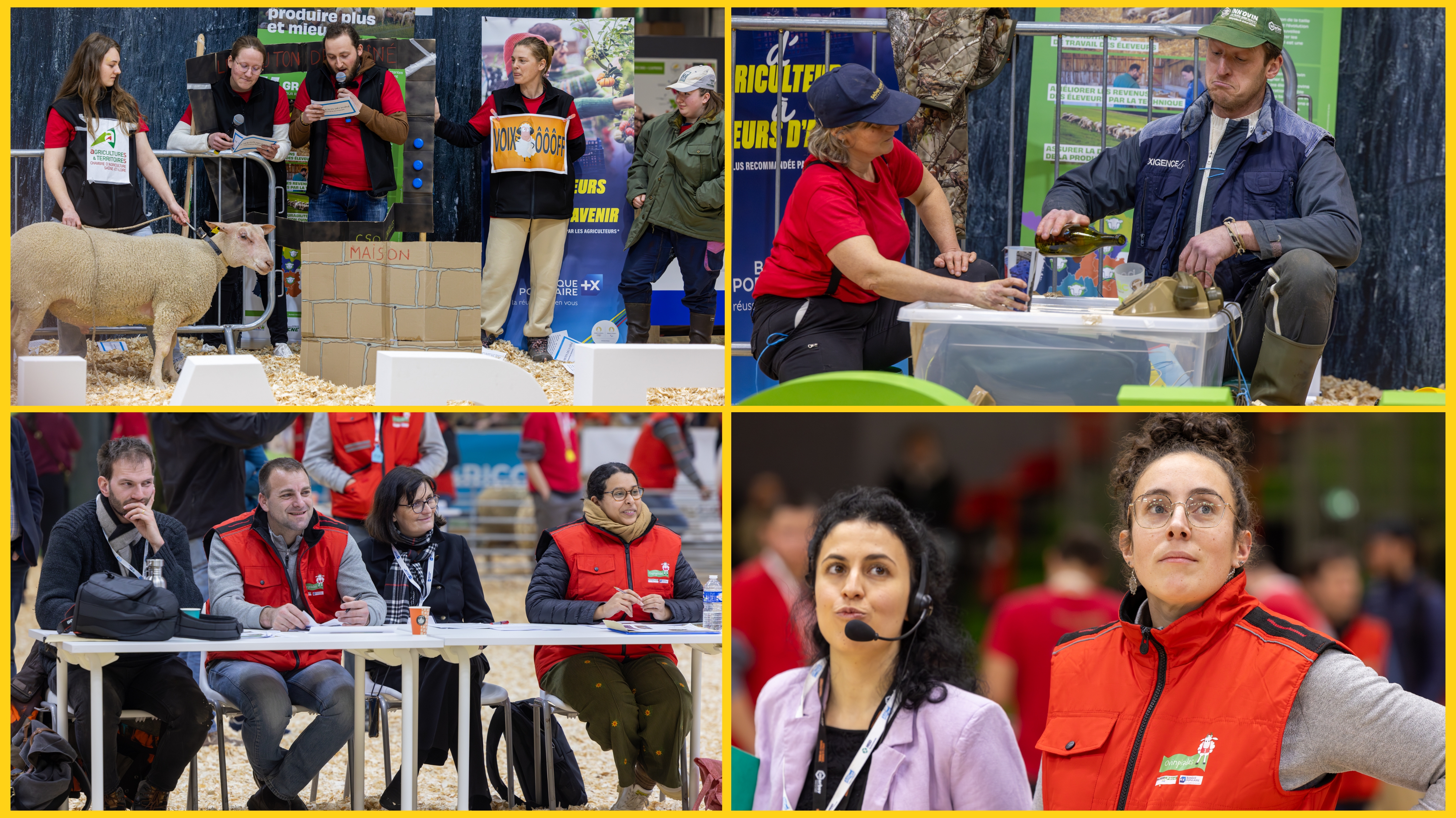 Cette image a été supprimée. Pour des raisons de sécurité, seules les images du domaine local sont autorisées. Image retirée.