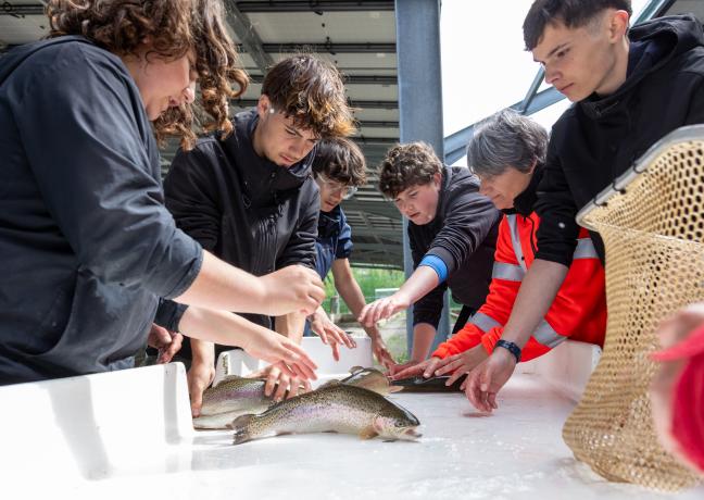 Les élèves de seconde du lycée agricole du Morvan, à Château-Chinon (58), apprennent à trier les truites arc-en-ciel en fonction de leur calibre - Photo Xavier Ducordeaux