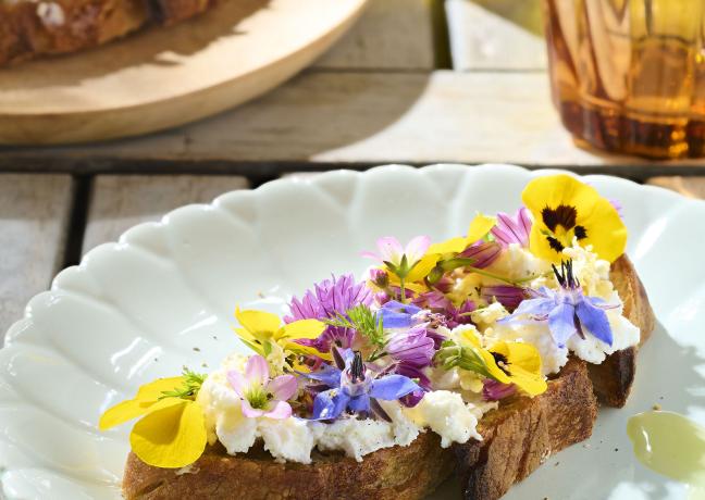 Tartine de chèvre, miel et fleurs - Photo image et associés