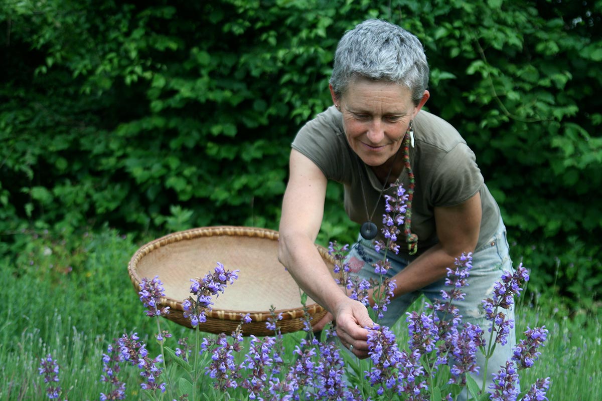 Sylvie Bornet, cultivatrice de plantes médicinales - Photo DR
