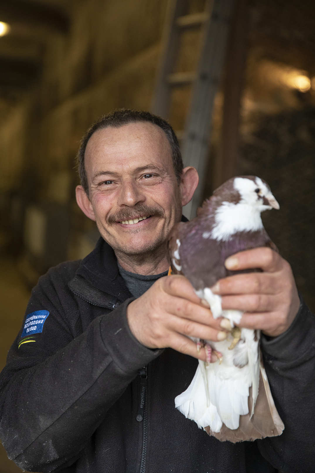 Philippe Bon, éleveur de pigeons en Saône-et-Loire - Crédit photo Région Bourgogne-Franche-Comté / David Cesbron
