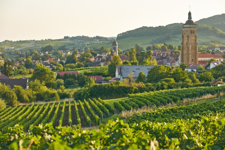 Vignoble d’Arbois (39) – Photo © Bourgogne-Franche-Comté Tourisme / M. Coquard et E. Detrez bestjobers