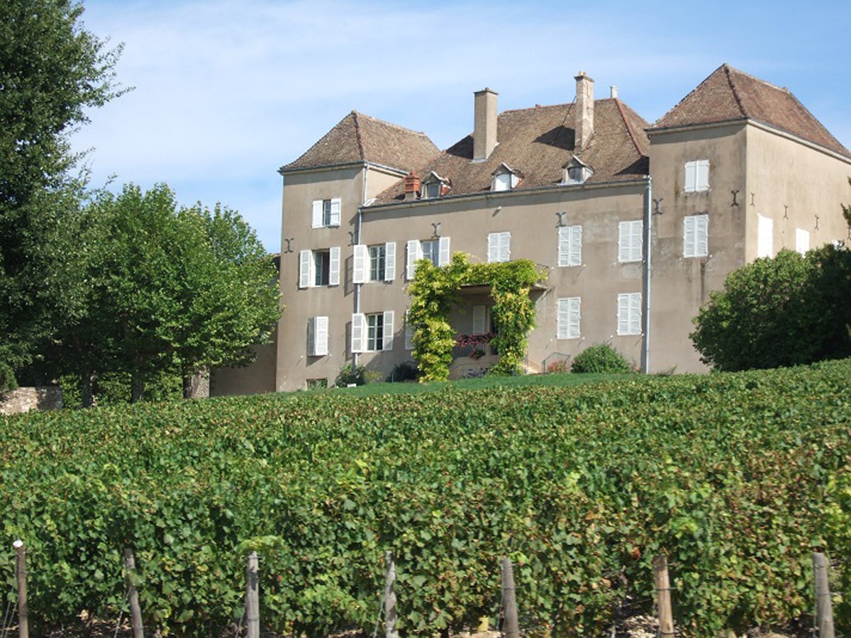 Vignoble du Château de la Greffière, à La Roche Vineuse (71) - Photo DR