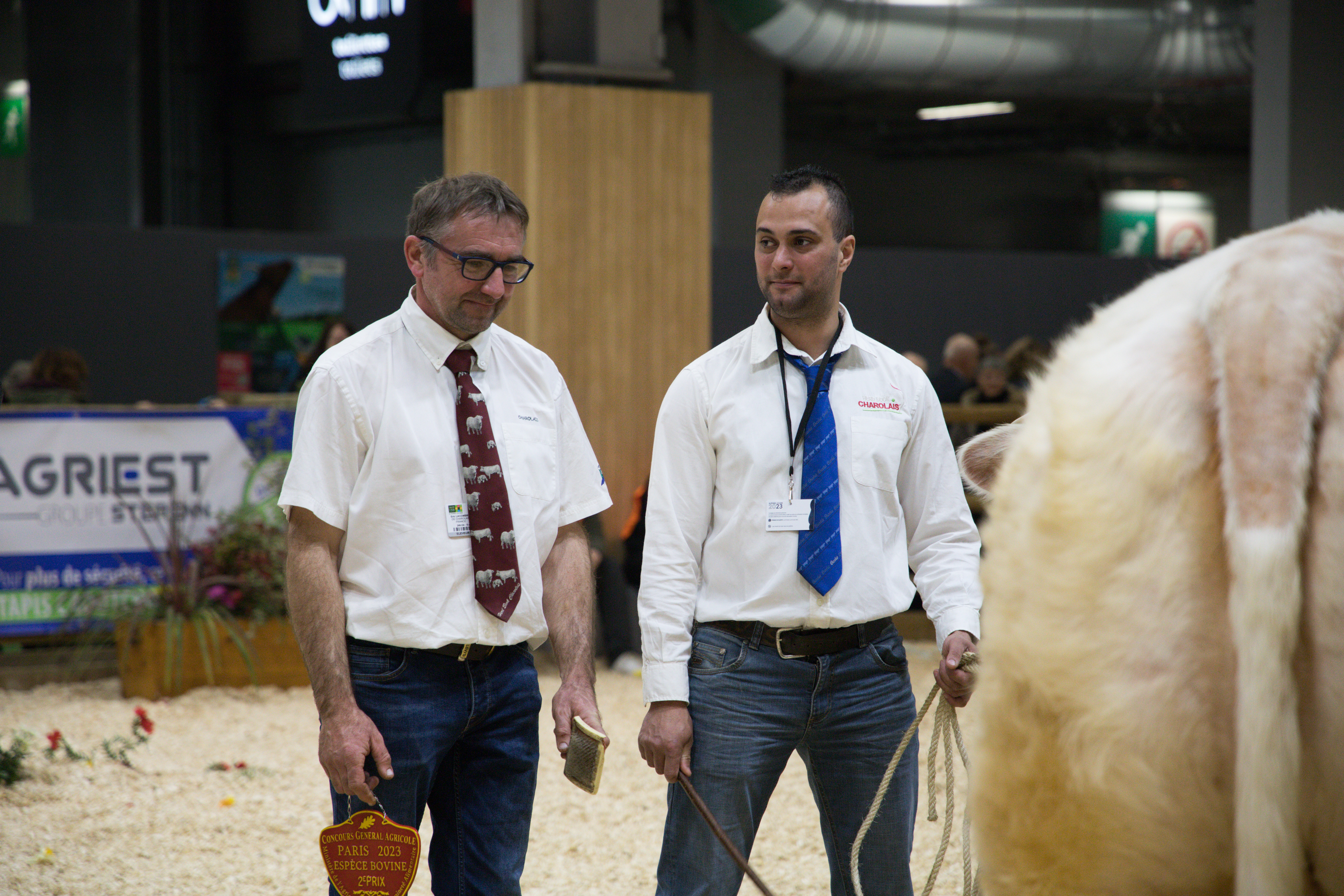 Éric Lacombre et sa Charolaise Savane participaient au grand concours général agricole