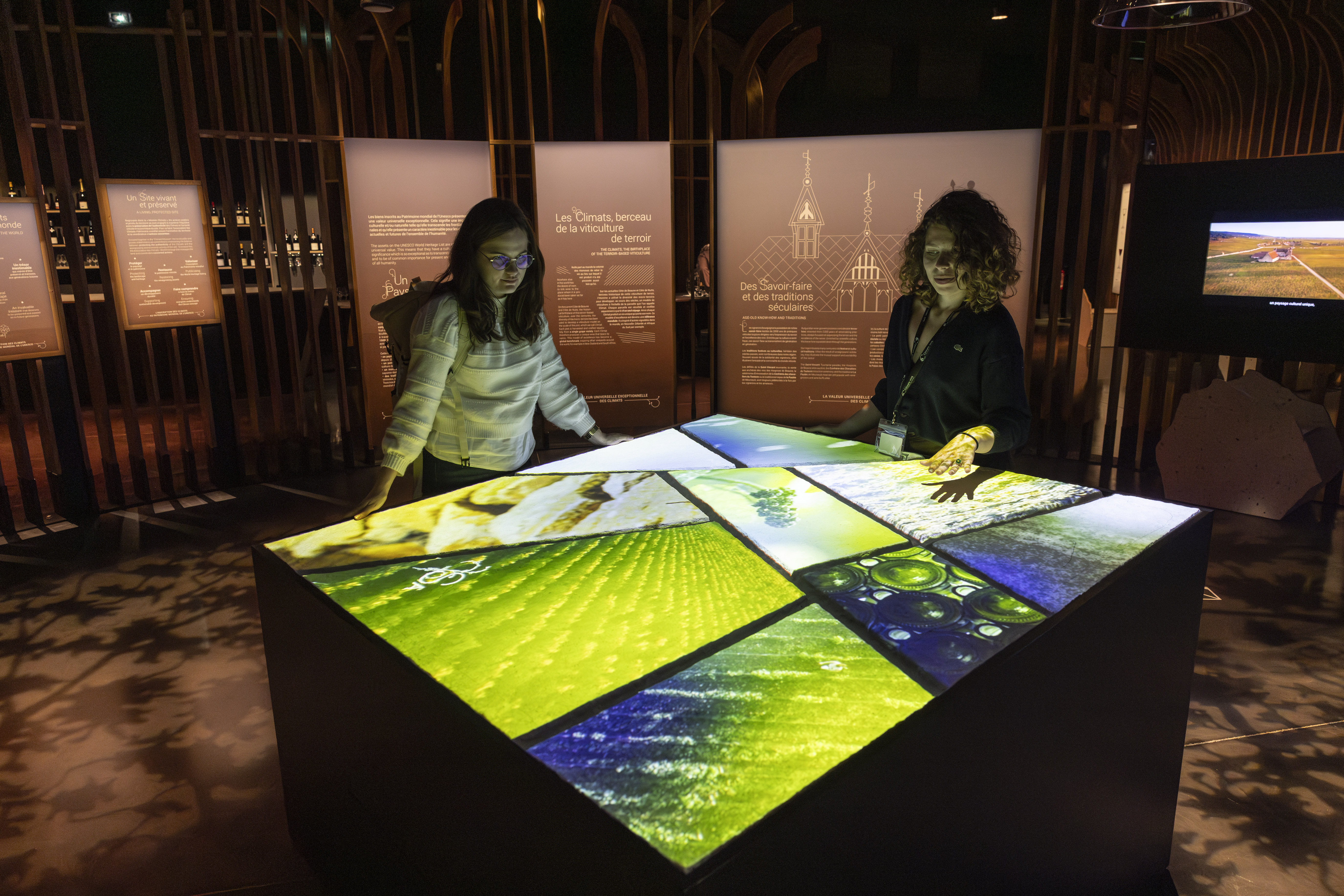 Cité des vins et climats de Bourgogne à Beaune - Photo David Cesbron