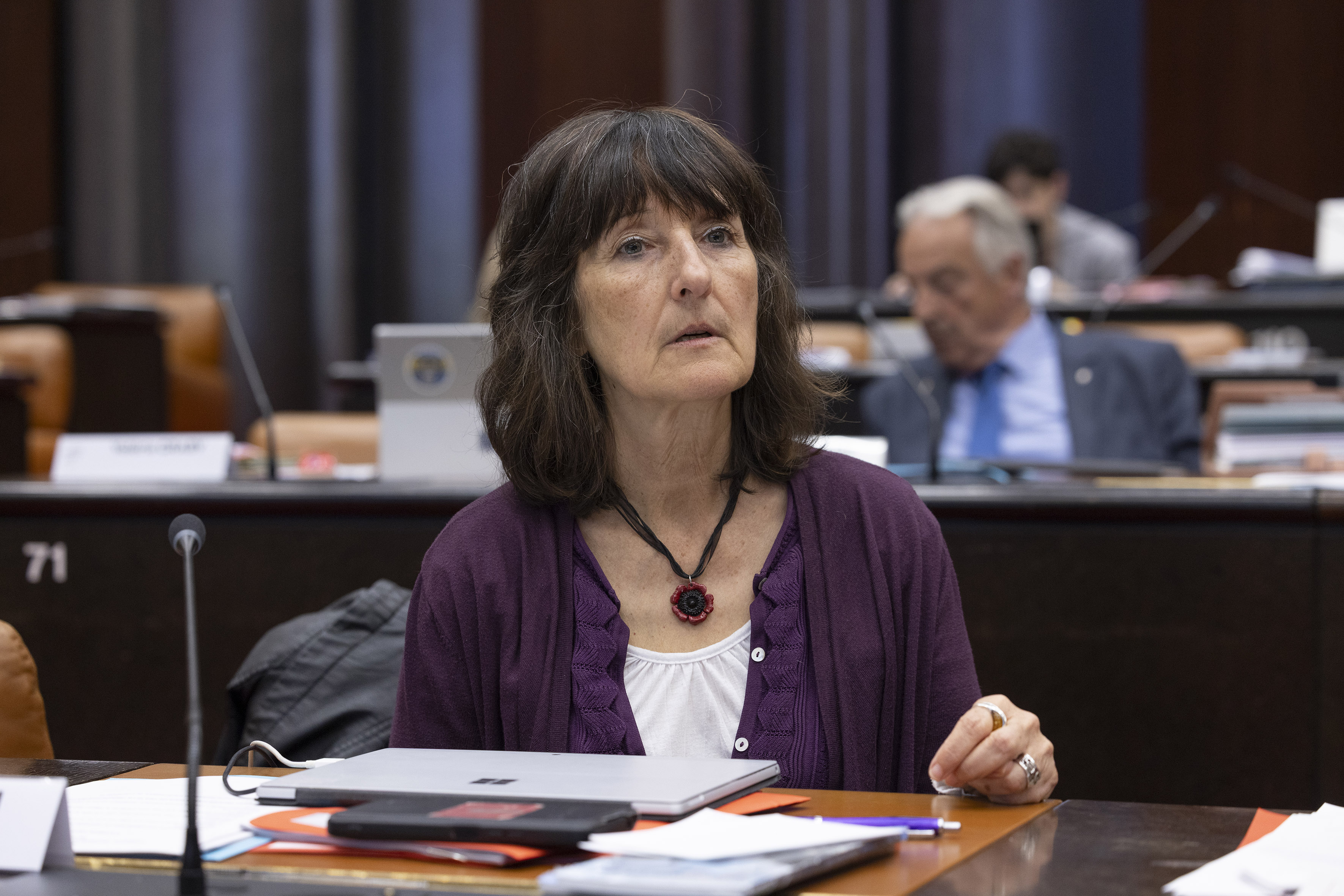 Isabelle Liron, vice-présidente en charge de la formation professionnelle. Photo : David Cesbron