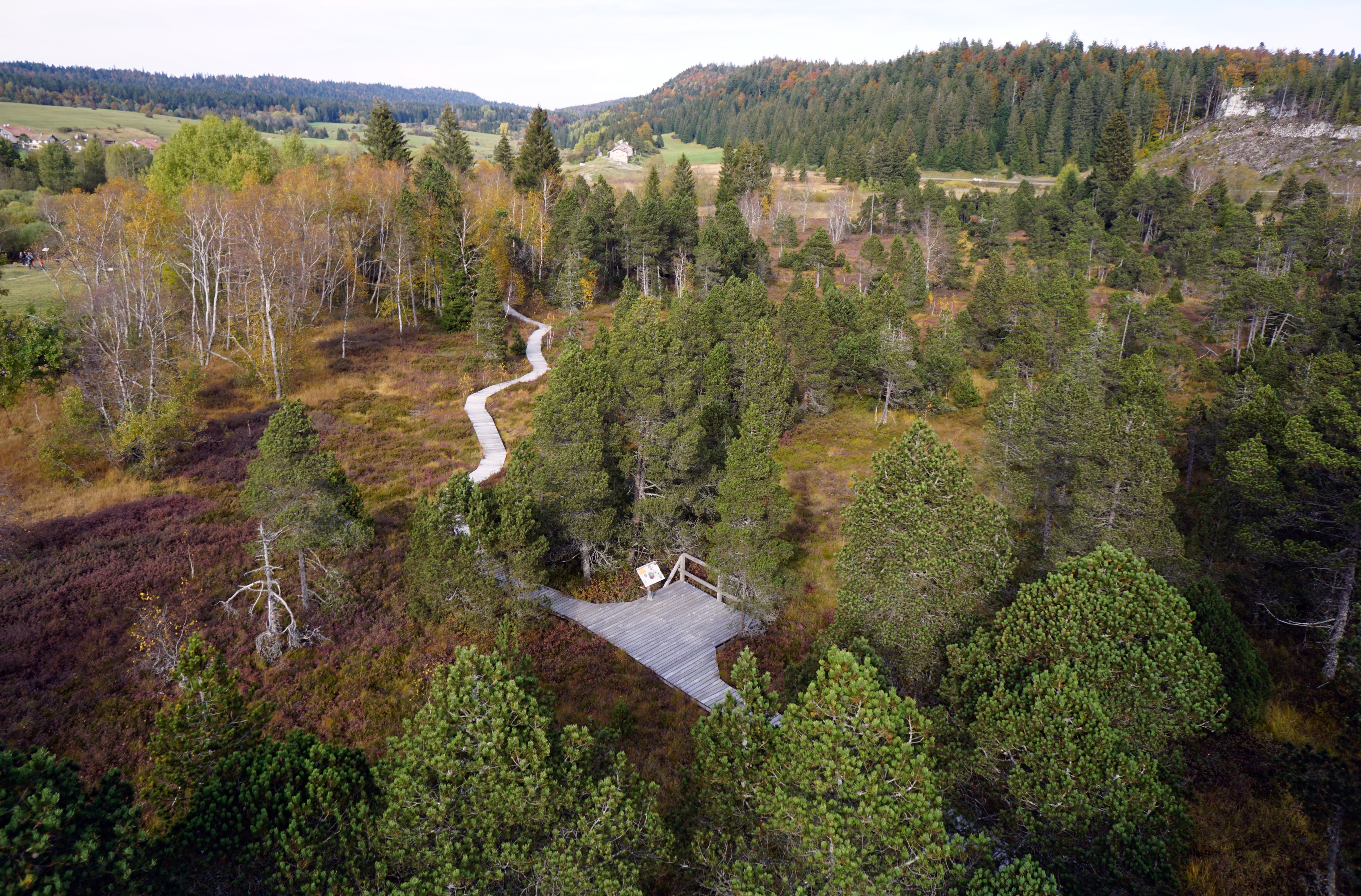 Réserve naturelle régionale des Tourbières du Bief du Nanchez