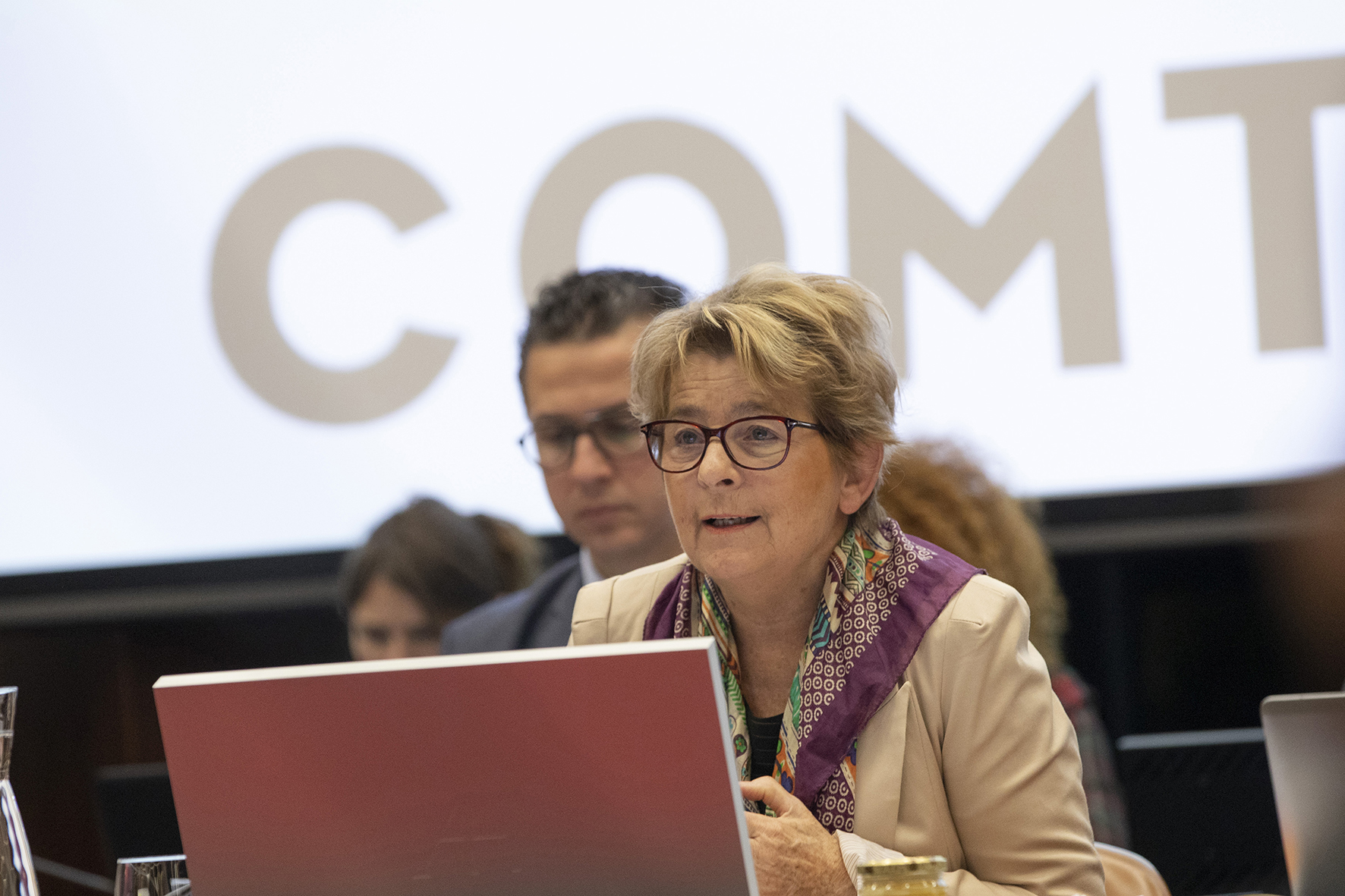 Assemblée plénière du 15 novembre 2019 - Photo David Cesbron