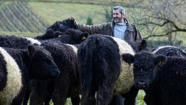 Elevage de vaches de race Galloway, chez Emmanuel Rizzi à Domblans (39) - Photo © Xavier Ducordeaux