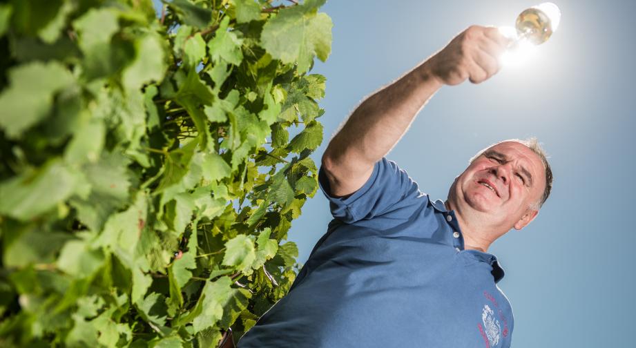 Henri-Xavier Guillaume, pépiniériste et vigneron à Charcenne ( 70) - Photo William Beekman