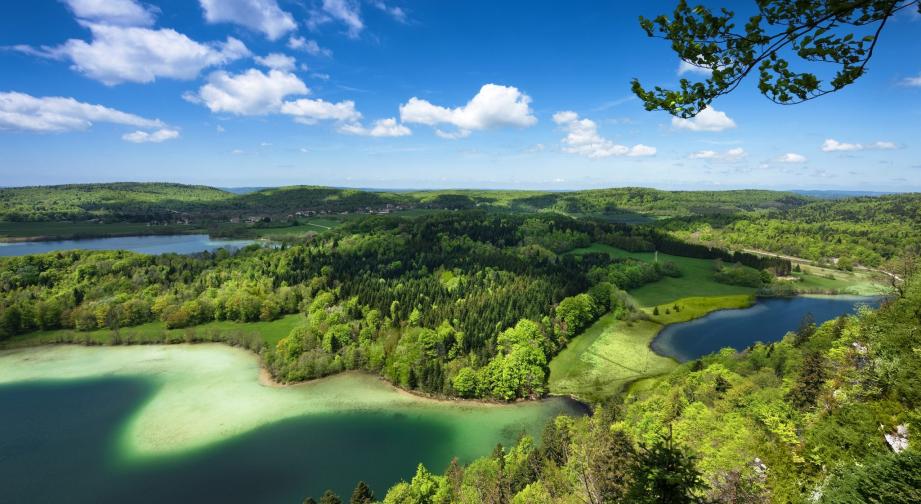 Les coureurs n’auront pas le temps de s’arrêter pour admirer le paysage depuis le belvédère des 4 lacs à Chaux-de-Dombief. Et vous ? Photo : Jura Tourisme