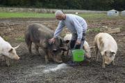 Baptiste Bernard et Emilie Jarrot font naître et élèvent des cochons à Chargey-lès-Gray (70) - Crédit photo Région Bourgogne-Franche-Comté / David Cesbron