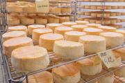 Philippe et Véronique Abrahamse produisent des fromages de vache bio au lieu-dit "L’Huis Saint-Benoît" (89) - Photo © William Beekman