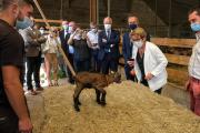 Le lycée Davayé possède une chèvrerie. Les élèves fabriquent et vendent le fromage AOP Mâconnais - Crédit photo Région Bourgogne-Franche-Comté / David Cesbron