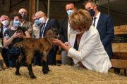 La petite chevrette n’a pas une heure ! D’ici quelques mois, elle donnera du lait et de bons fromages de chèvre ! - Crédit photo Région Bourgogne-Franche-Comté / David Cesbron