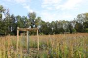 Deux-cents arbres fruitiers sont cultivés, comme ici au sein d’une prairie fleurie - Crédit photo Région Bourgogne-Franche-Comté