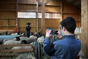 Hackaton organisé à l'occasion de la semaine de la presse et des médias à l’école, jeudi 25 mars 2021 au lycée agricole de Levier (25)- Photo Région Bourgogne-Franche-Comté