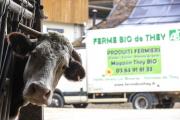 Ferme bio de They, à Sorans les Breurey (70), dirigée par Michel Devillairs - Photo Région Bourgogne-Franche-Comté David Cesbron