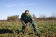 Etienne Prévot, éleveur de bovins et cultivateur de légumes biologiques à Sainte-Magnance (89) - Photo Région Bourgogne-Franche-Comté David Cesbron