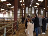 "Du pré à l'assiette", séjour immersif permettant de faire découvrir la filière de la viande charolaise et ses métiers - Photo DR"Du pré à l'assiette", séjour immersif permettant de faire découvrir la filière de la viande charolaise et ses métiers - Photo DR