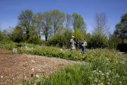 Visite d'un verger conservatoire par des membres du réseau des POTEs, mercredi 3 mai 2023à Bretigny-les-Norges (21) - Photo Région Bourgogne-Franche-Comté Emmanuelle Baills