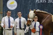 Finale des chevaux Comtois, mercredi 28 février 2024 au salon international de l’Agriculture - Photo Océane Lavoustet