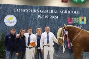 Finale des chevaux Comtois, mercredi 28 février 2024 au salon international de l’Agriculture - Photo Océane Lavoustet