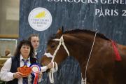 Finale des chevaux Comtois, mercredi 28 février 2024 au salon international de l’Agriculture - Photo Océane Lavoustet