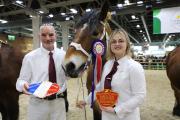 Kaline de Marcilly, 4e du Concours général agricole 2026 des chevaux de trait - Photo Océane LAVOUSTET