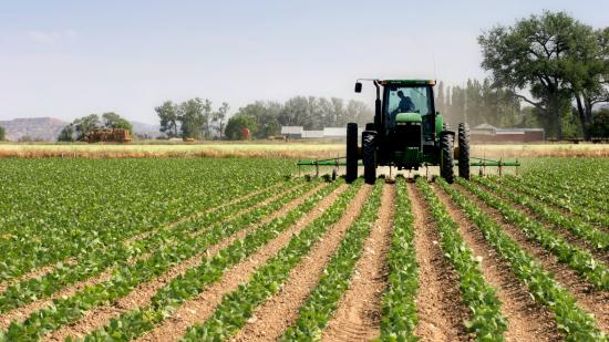 Service Tournesol lancé par la Région Bourgogne-Franche-Comté en mai 2019