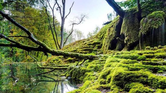 Parc national de forêts - Crédidit photo Franck Fouquet