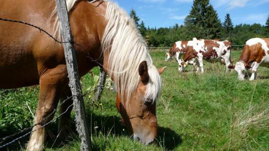 Crédit © Maud Humbert / Bourgogne-Franche-Comté Tourisme 