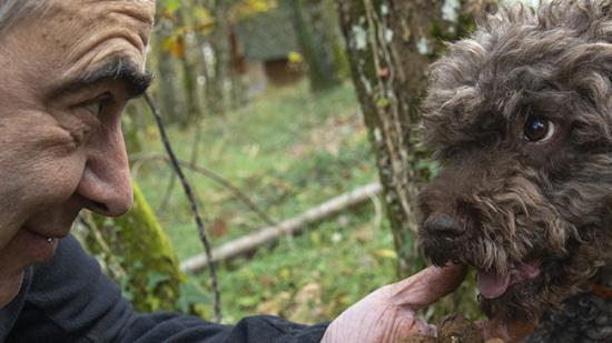 La Maison aux mille truffes à Marey-lès-Fussey (21)  - Crédit photo Région Bourgogne-Franche-Comté / David Cesbron