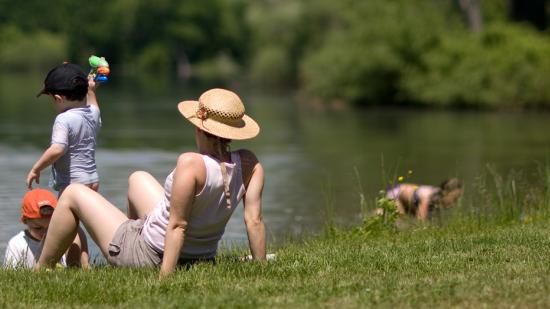 Etang de Baye (58) - Crédit Vincent ARBELET