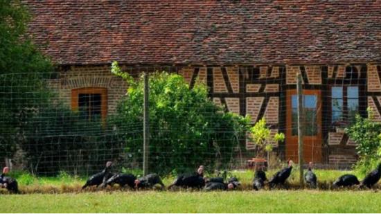 Ferme de la Bonardière, à Bouhans (71) - DR