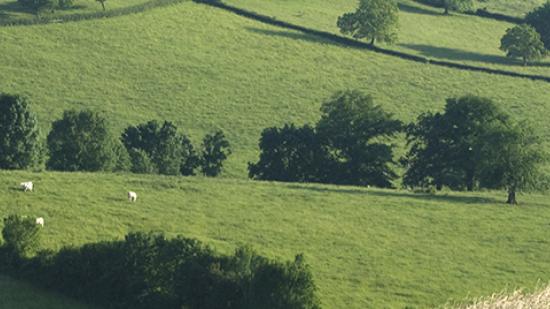 Paysage du Brionnais © Vincent Arbelet