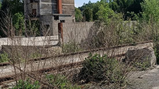 Friche de 2 hectares laissée par l’incendie d’une scierie en 2015 à Châtel-de-Joux (Jura) - Photo DR