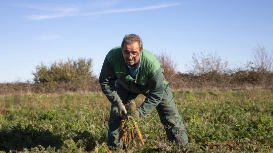 Etienne Prévot, éleveur de bovins et cultivateur de légumes biologiques à Sainte-Magnance (89) - Photo Région Bourgogne-Franche-Comté David Cesbron