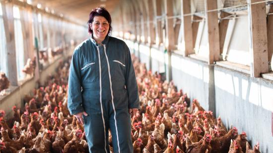 Christelle Koenig, éleveuse de poules pondeuses à Vauthiermont (90) - Photo Ludovic Godard