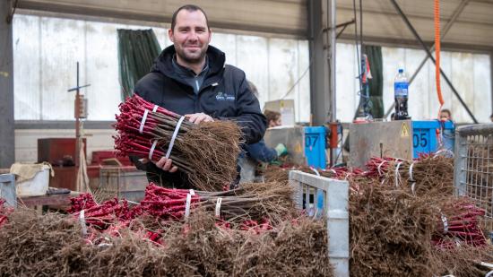 Directeur de la stratégie des pépinières Guillaume (70), François Guillaume travaille sur l’adaptation de la vigne aux changements climatiques - Photo Région Bourgogne-Franche-Comté Xavier Ducordeaux