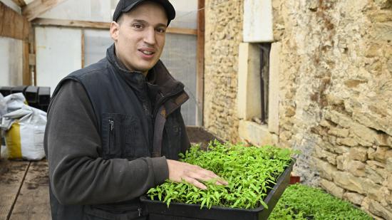 Benoit Scotto, maraîcher à la  d’une Ferme Le Creuseret à Saint-Vit (25) - Photo Laurent Cheviet