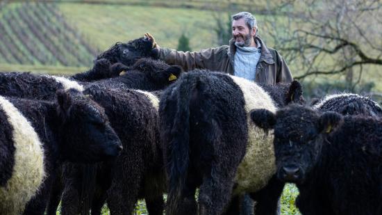 Elevage de vaches de race Galloway, chez Emmanuel Rizzi à Domblans (39) - Photo © Xavier Ducordeaux