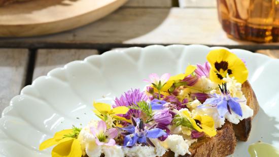 Tartine de chèvre, miel et fleurs - Photo image et associés